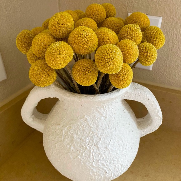 10 STEMS Dried Flowers Billy Balls - Craspedia Flowers - Picture 4 of 13